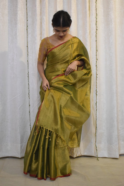 Amrapali: Olive Green Mul-Zari Tissue Saree