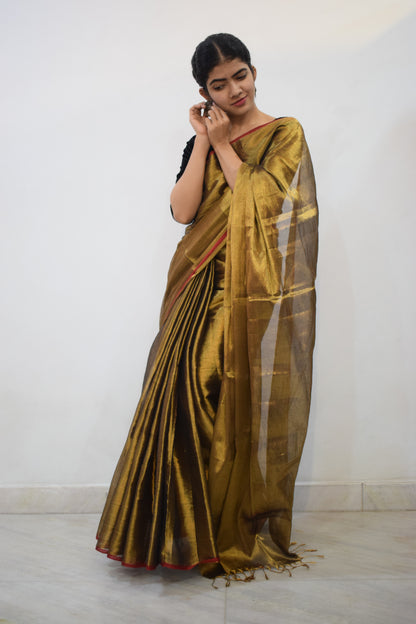 Anaghā - Gold Mul-Zari Tissue Saree